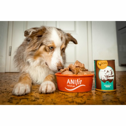 Dog Accessories Wet pet food RyDog Vital Menu Chicken (Vitalmenü Huhn) 400g 6 Piece -6- Anifit