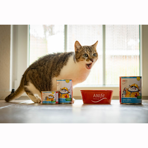 Cat Wet pet food Ice Sea Terrine (Eismeer Terrine) 810g 6 Piece -3- Anifit